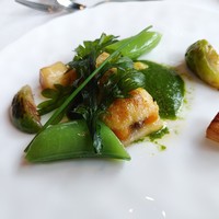 クラシカ表参道 - 