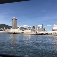 THE KOBECRUISE コンチェルト - 