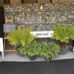 TARO CAFE - 