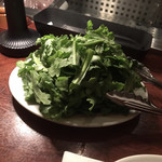 カルネジーオ イースト - 