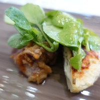 クイントカント - 