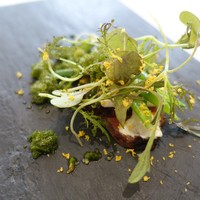 クイントカント - 