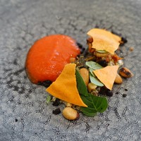 クイントカント - 