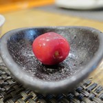 ぼちぼち - アメリカンチェリー