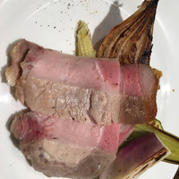 ダルマット 六本木ヒルズ店 - 