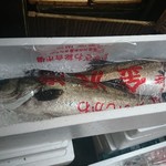 夢処 漁師めし 雑魚や - 