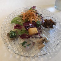 フィーコディンディア - 