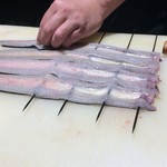 [Eel] Eel, Shirayaki, Kabayaki, Hitsumabushi, etc.