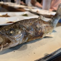 柳家 - 