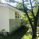 森のオト。こぞらそう - 