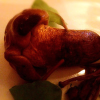 トラットリア ゴデレッチョ エビス 恵比寿 - 