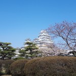 あなご料理 柊 - 