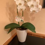 龍文支店 - おめでとうございます