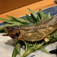 浅草じゅうろく - 島根県高津川産 鮎 アップ