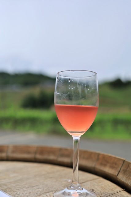 タケダワイナリー - 茂吉記念館前（その他）の写真