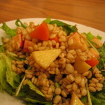 Caffe PESCA - 大麦のサラダ、地元の野菜のせ