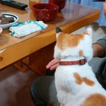 ヤオヨシ - 食べてみた