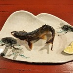 蕎麦　もり木 - 