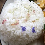 カフェアンドショップ ロータスランド - 2019/06/15
      今週のおまかせセット 550円
      ＊新玉ねぎ大豊作！感謝プレート
      ・新玉ねぎのカップグラタン
      ・新玉ねぎ入りプレーンオムレツ
      ・エンサイ炒め
      ・オニオンスープ
      ・赤玉ねぎのスライス