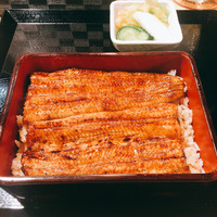 うなぎ 目白ぞろ芽 - 