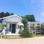 BeachHouseStyleCafe sunflower - 