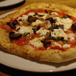 ラッテリア ベベ  カマクラ