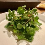 はっこく - 2019.5.  ケールとクレソンのサラダ