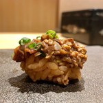 はっこく - 2019.5.  蛍烏賊