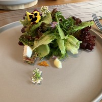 アグリスケープ - 