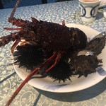 オーベルジュあかだま - 