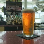 BONGOS - Sam Adams Season $11.50