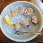Union Oyster House - Cape Littlenecks $13.50