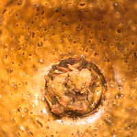 恵比寿 えんどう - スッポン