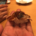 小松 弥助 - 5貫目、煮ハマグリ