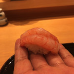 小松 弥助 - 6貫目、甘エビ