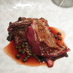 エクアトゥール - ラカン産鳩