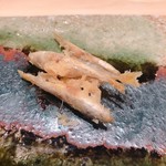 てんぷら　成生 - 