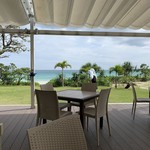 ブルータートル - 