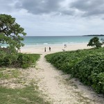 ブルータートル - 