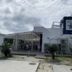 ブルータートル - 