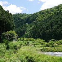 ろあん松田 篠山店 - 