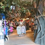 Rainforest Cafe - 