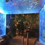 Rainforest Cafe - 