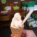 とみたメロンハウス - 