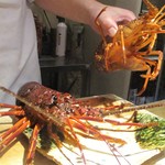 もと井 - 大きく 活きの良い 伊勢海老。　　　　　2019.06.01