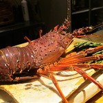 もと井 - 大きく 活きの良い 伊勢海老。　　　　　2019.06.01