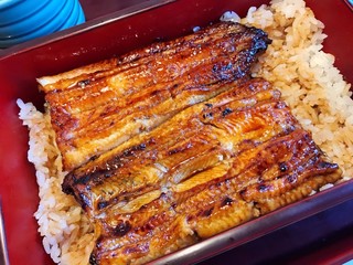 Unagi Fujikawa - 