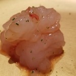 鮨 さかい - (10)牡丹海老(北海道増毛産)
      牡丹海老の産卵期は秋～春、旬も包卵する秋～春。
      牡丹海老は身の甘みはしっかり。
      明礬有りの赤雲丹を合わせると主役の牡丹海老を邪魔せずに味わいを補完するよう。