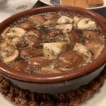 アマ・ルール - 