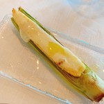 サーラ アマービレ - 